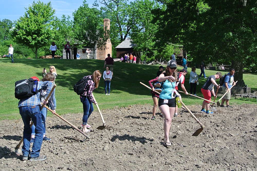 Arts Faculty Field School Fund Mount Royal University